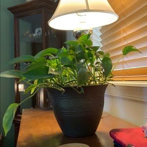 Meet your Posher, Daryl